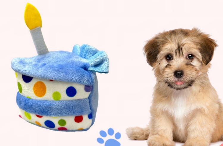 Chew-Resistant Pet Birthday Plush Toys